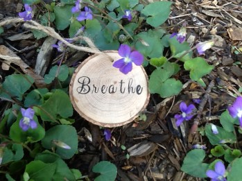 breathe_violets