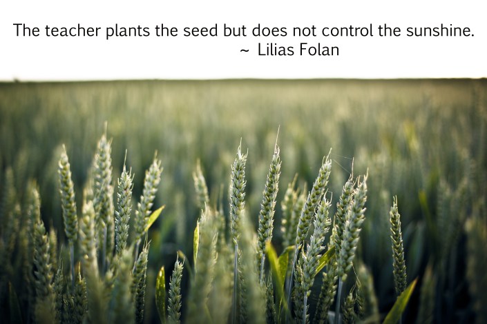 wheat_LukasSchweizer_Liliasquote as Smart Object-1